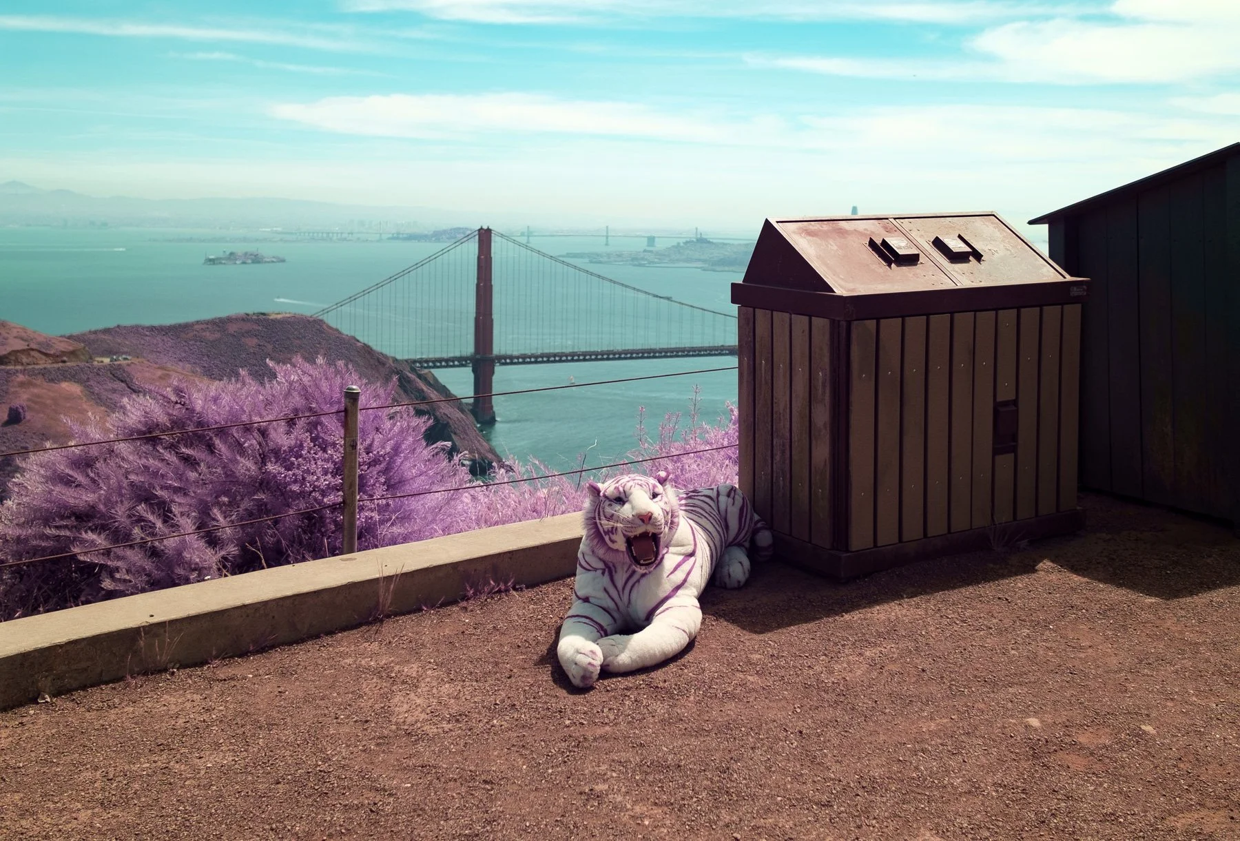 Color_Infrared_Golden_Gate_Bridge_Tiger_Lucas_Saugen.jpg