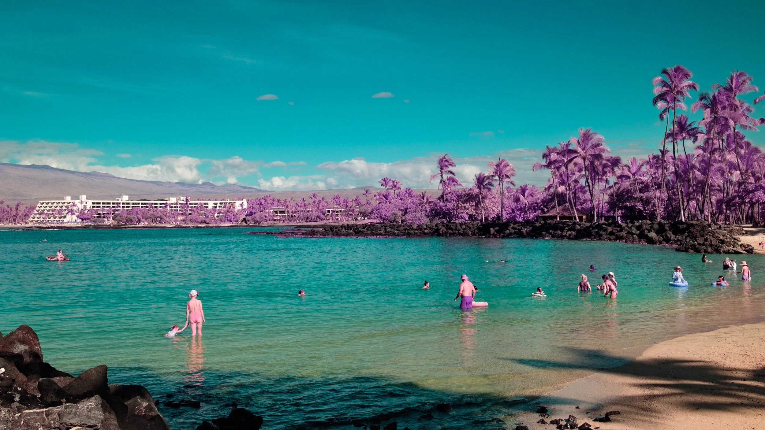 Color Infrared Hawaii Vacation