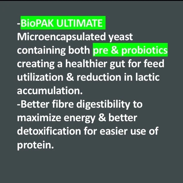 Southern Cross Feeds