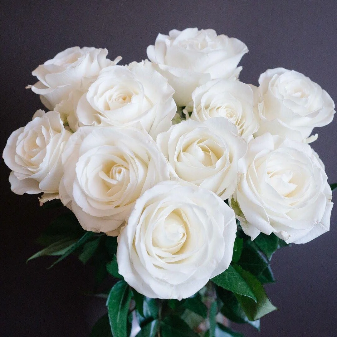 tibet roses.jpg