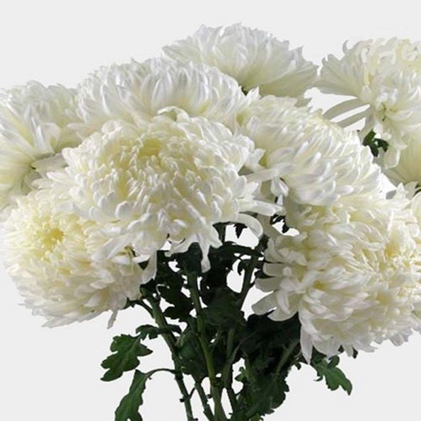 FOOTBALL+MUMS+WHITE.jpg