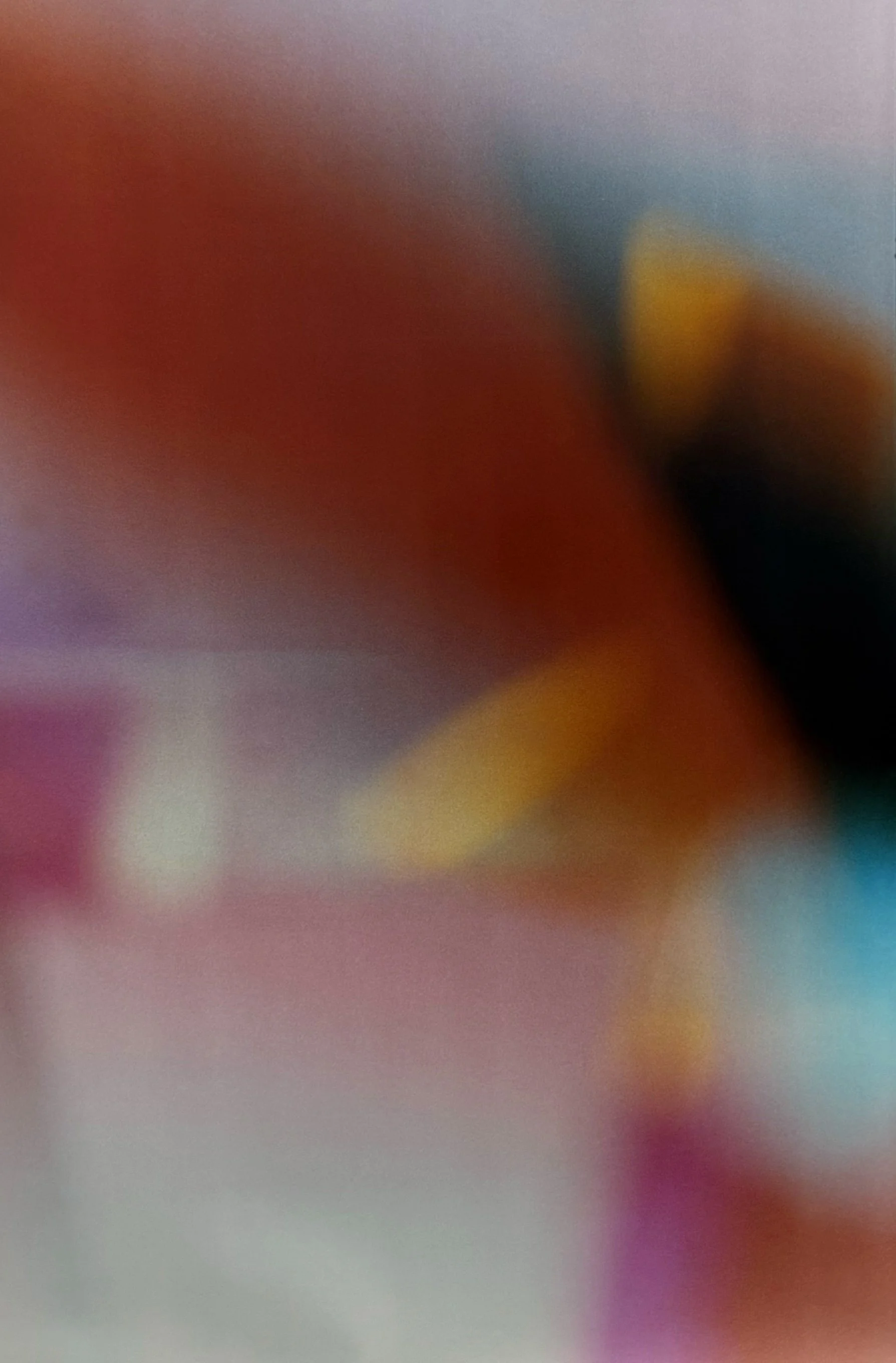 Alex Walker_Portal 05_2026.jpg