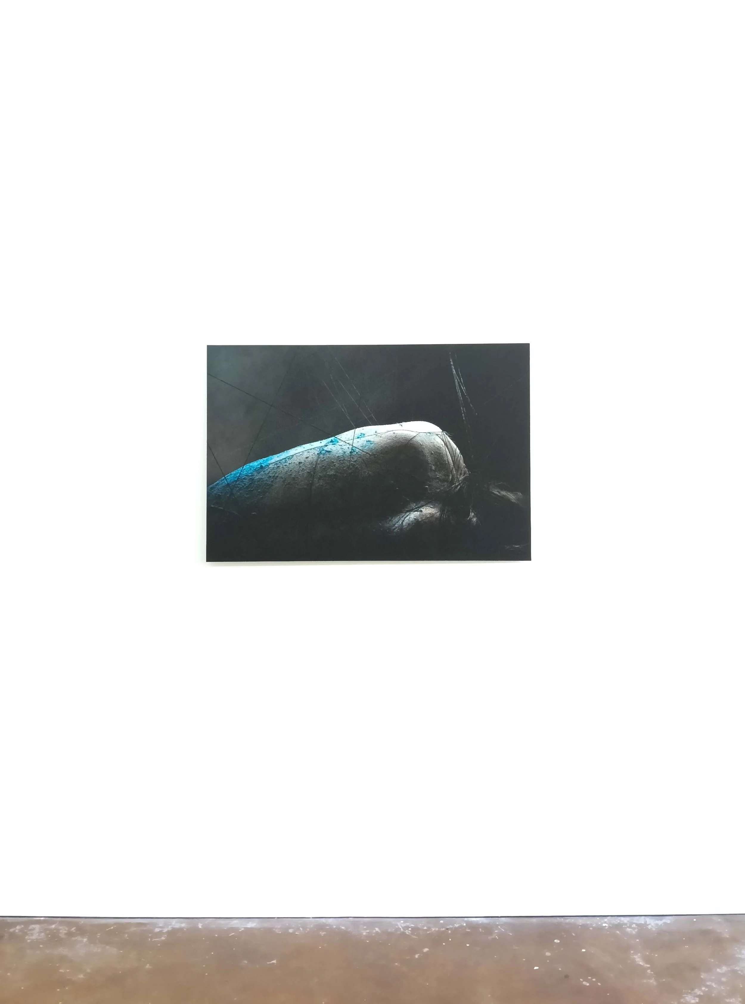 Ward.jpg