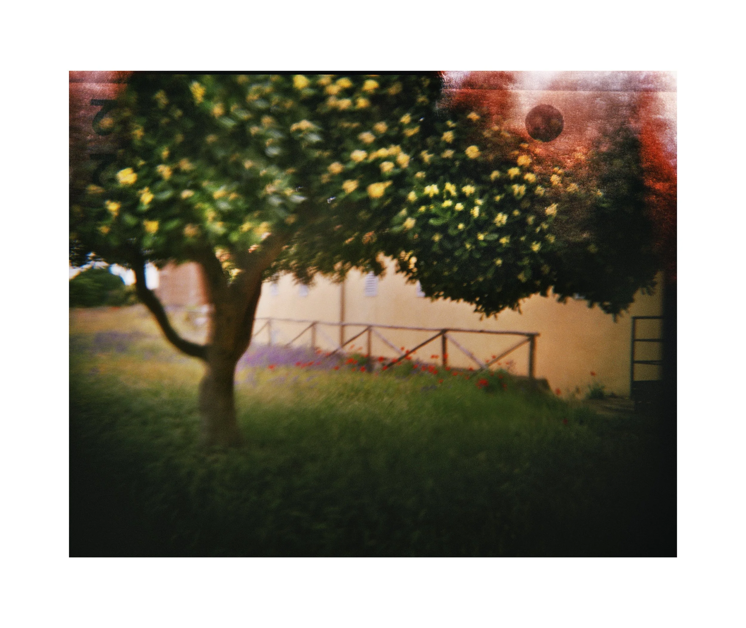 04 CK.jpg