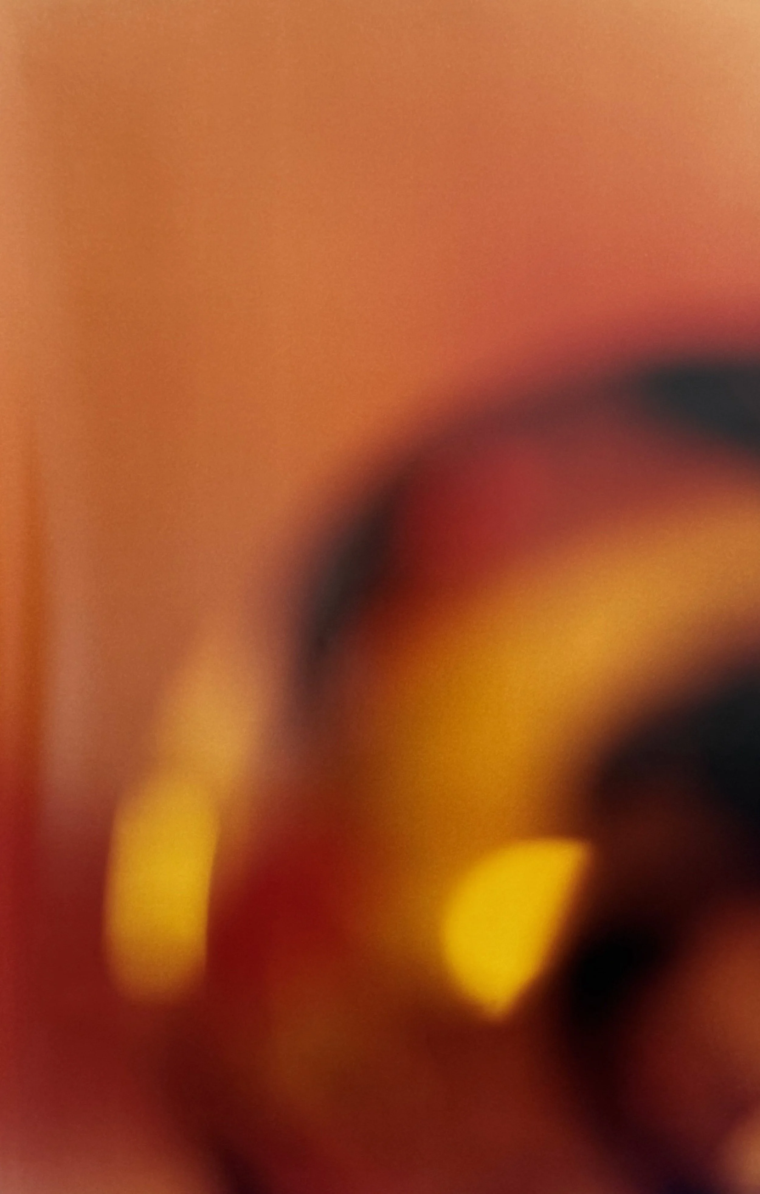 Alex Walker_Portal 04_2026.jpg