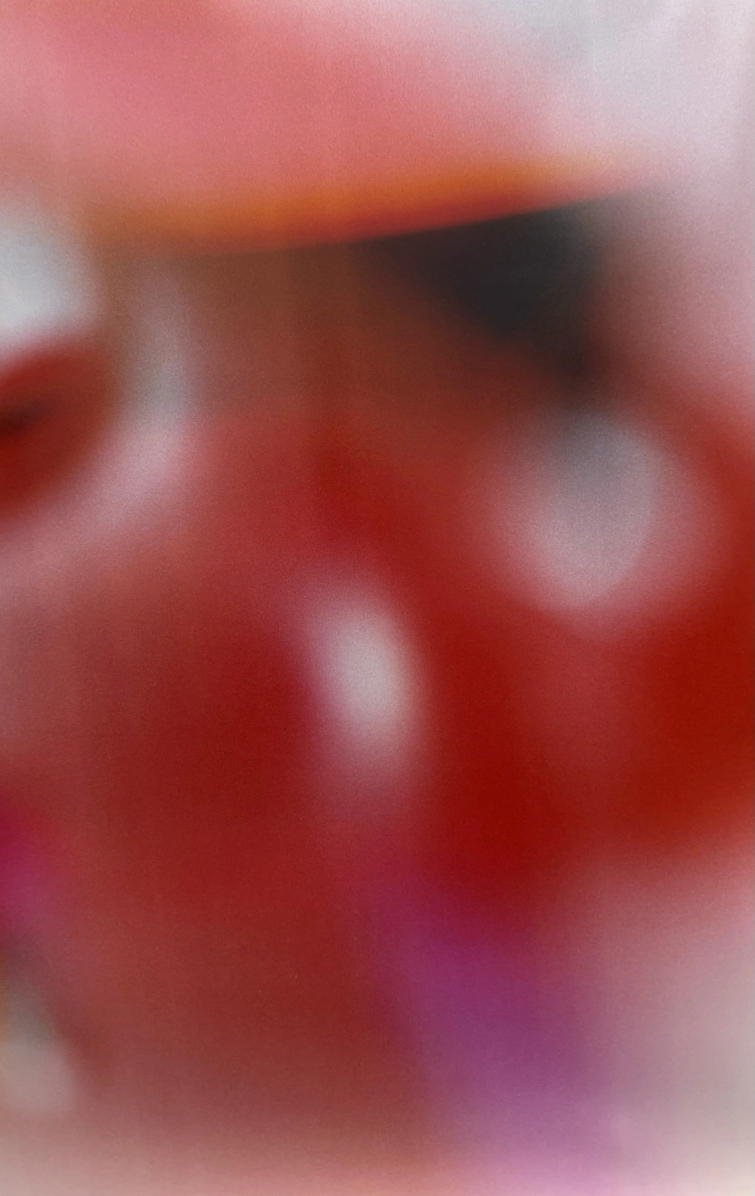 Alex Walker_Portal 06_2026.jpg