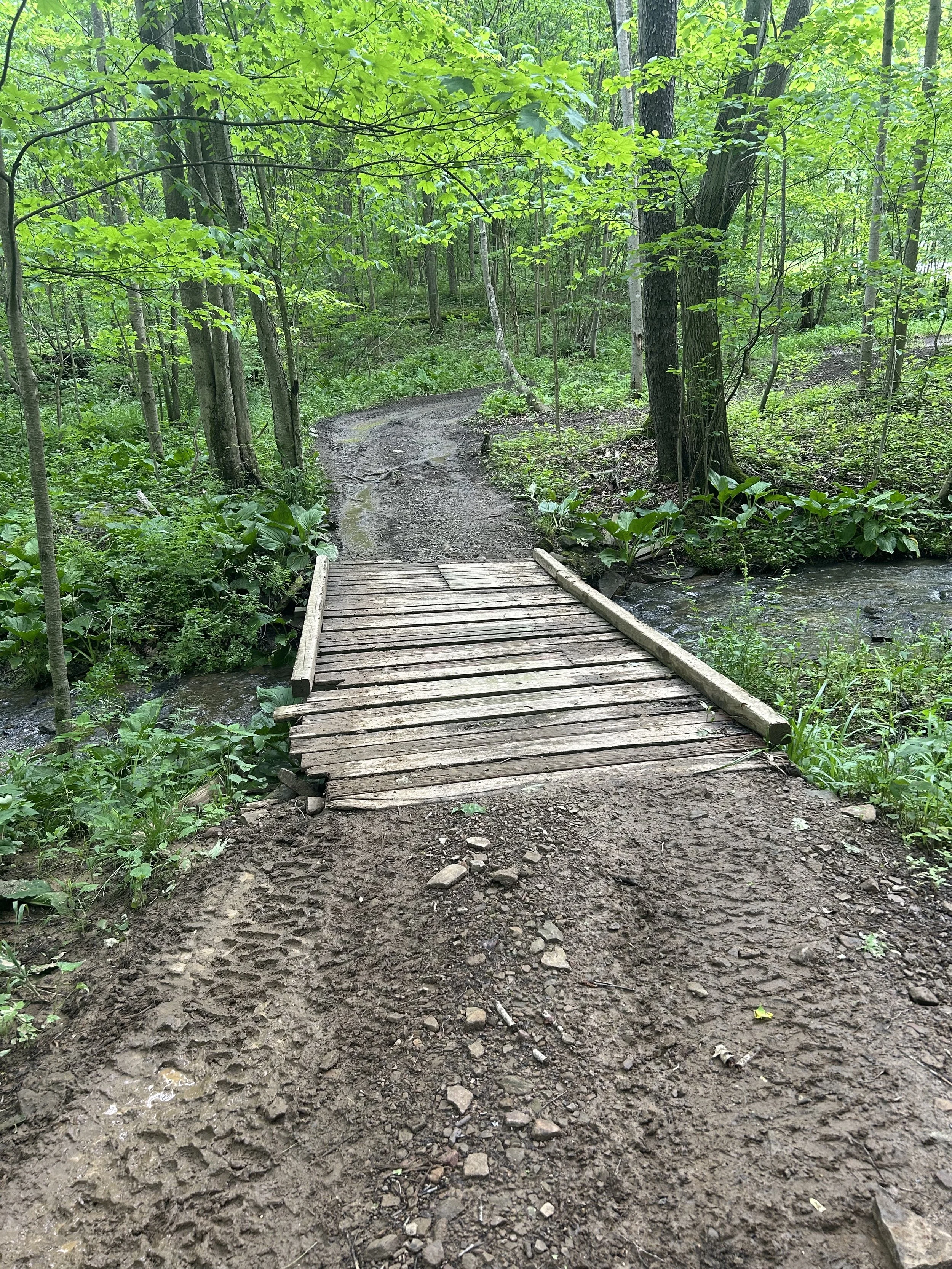 Bridge Work Party, June 3rd (Wednesday)