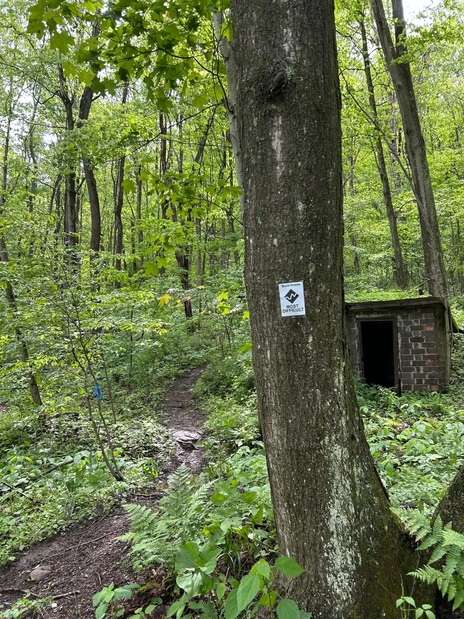 Dirtbike Singletrack Update