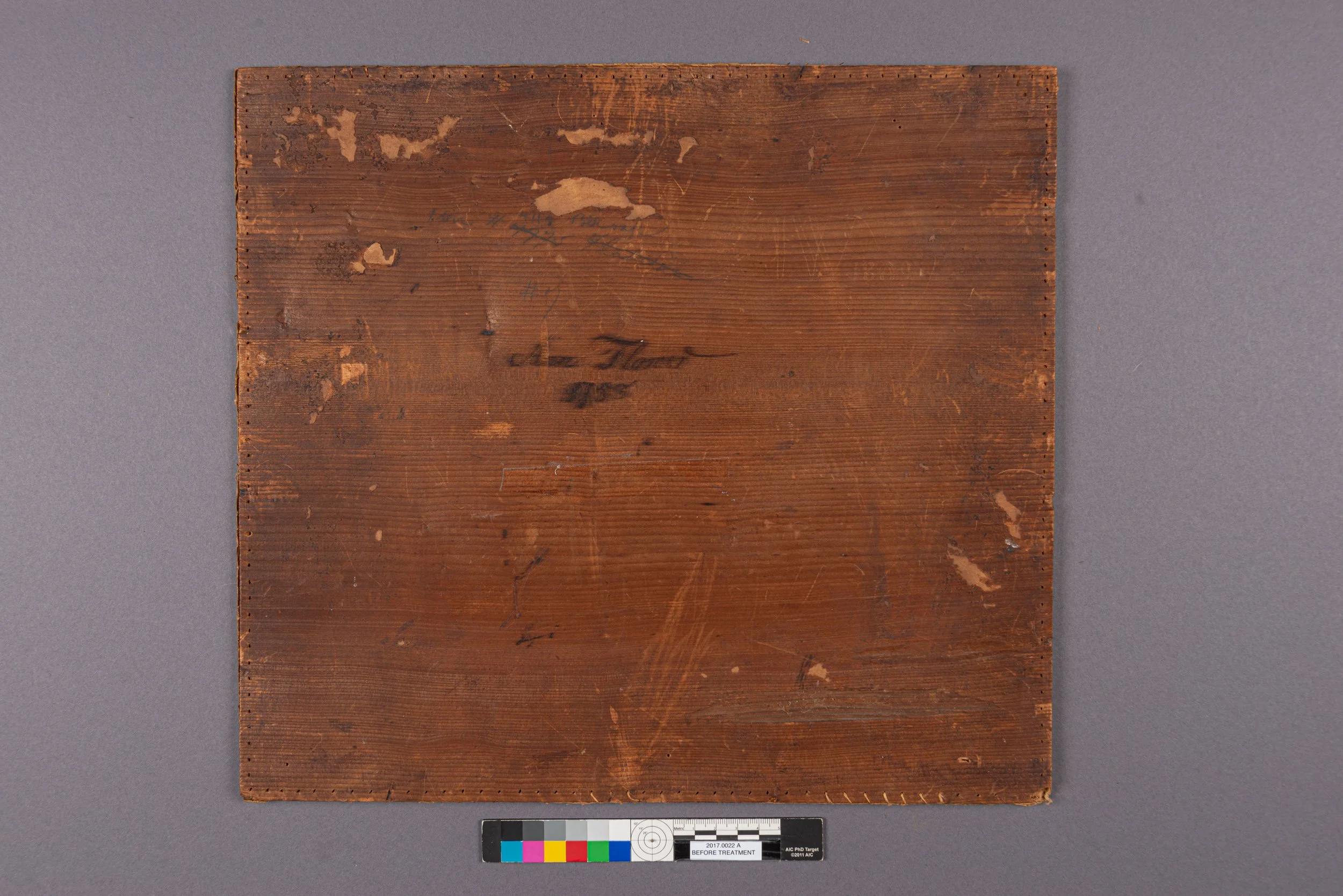 2017.0022, Before Treatment, Overall Back