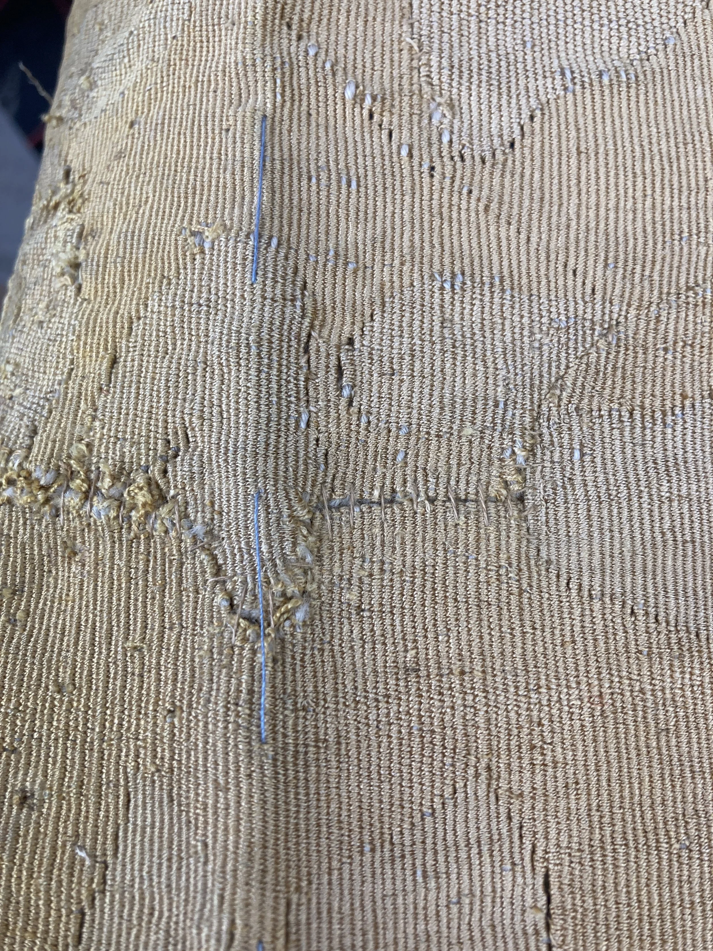 After Treatment, Split consolidated along top edge. Photo Credit: Margaret O'Neil.