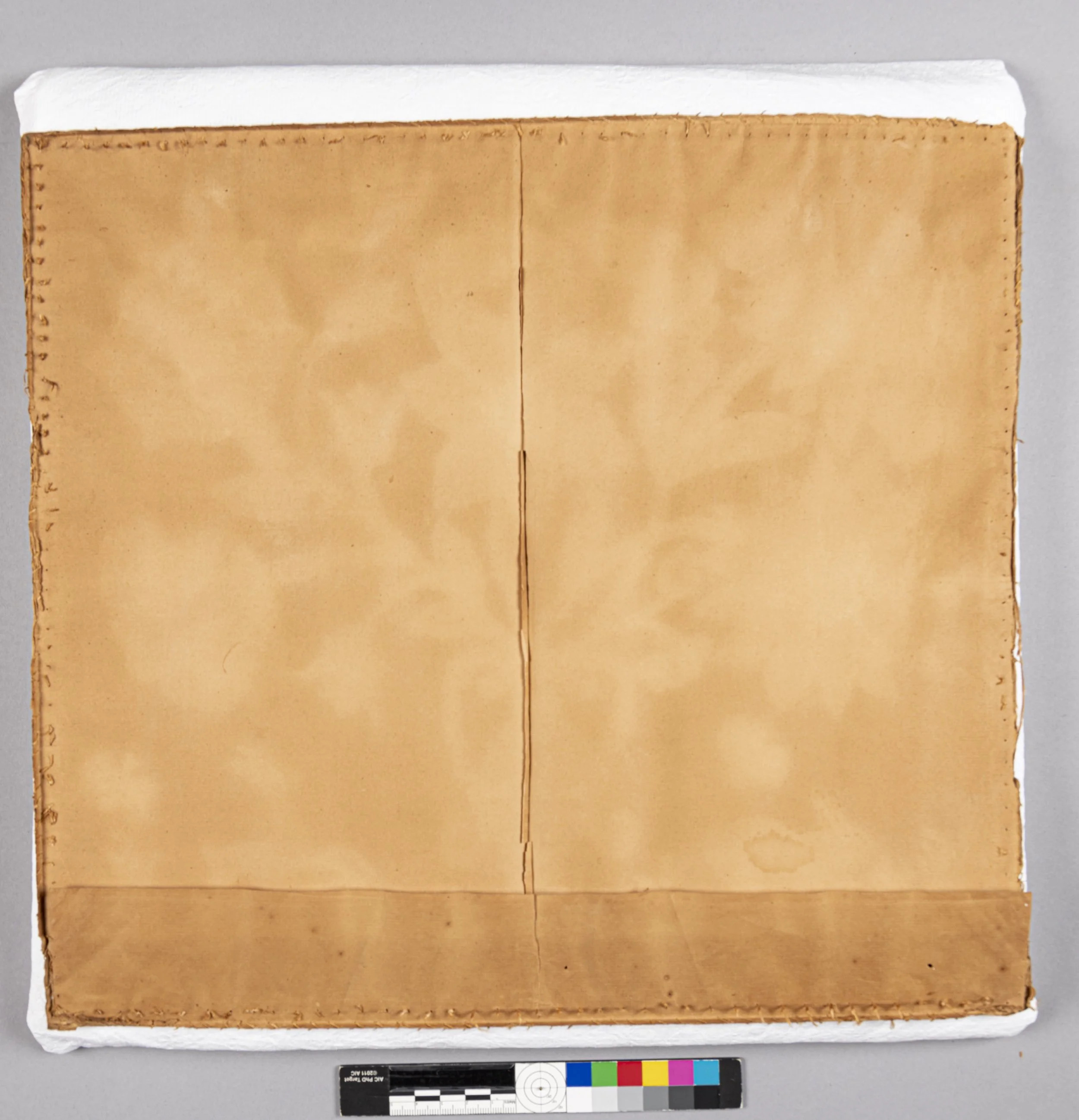 2017.0022, During Treatment, Paper Lining Back