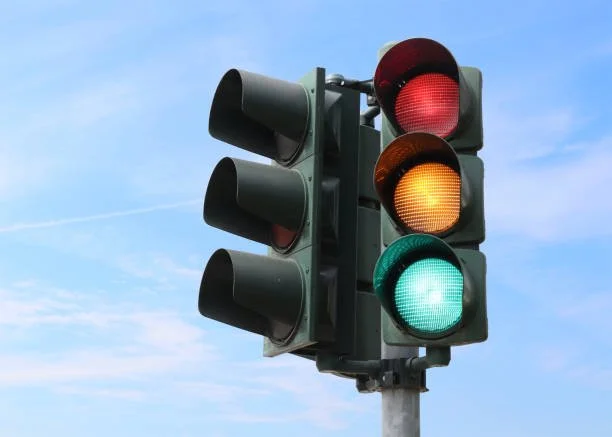 Why Your Gut's "Traffic Lights" Matter More Than You Think