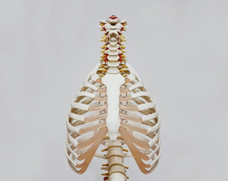 Find Dry Needling Near Me And Find PRI Trained Postural Restoration Find dry needling near me and find pri trained postural restoration