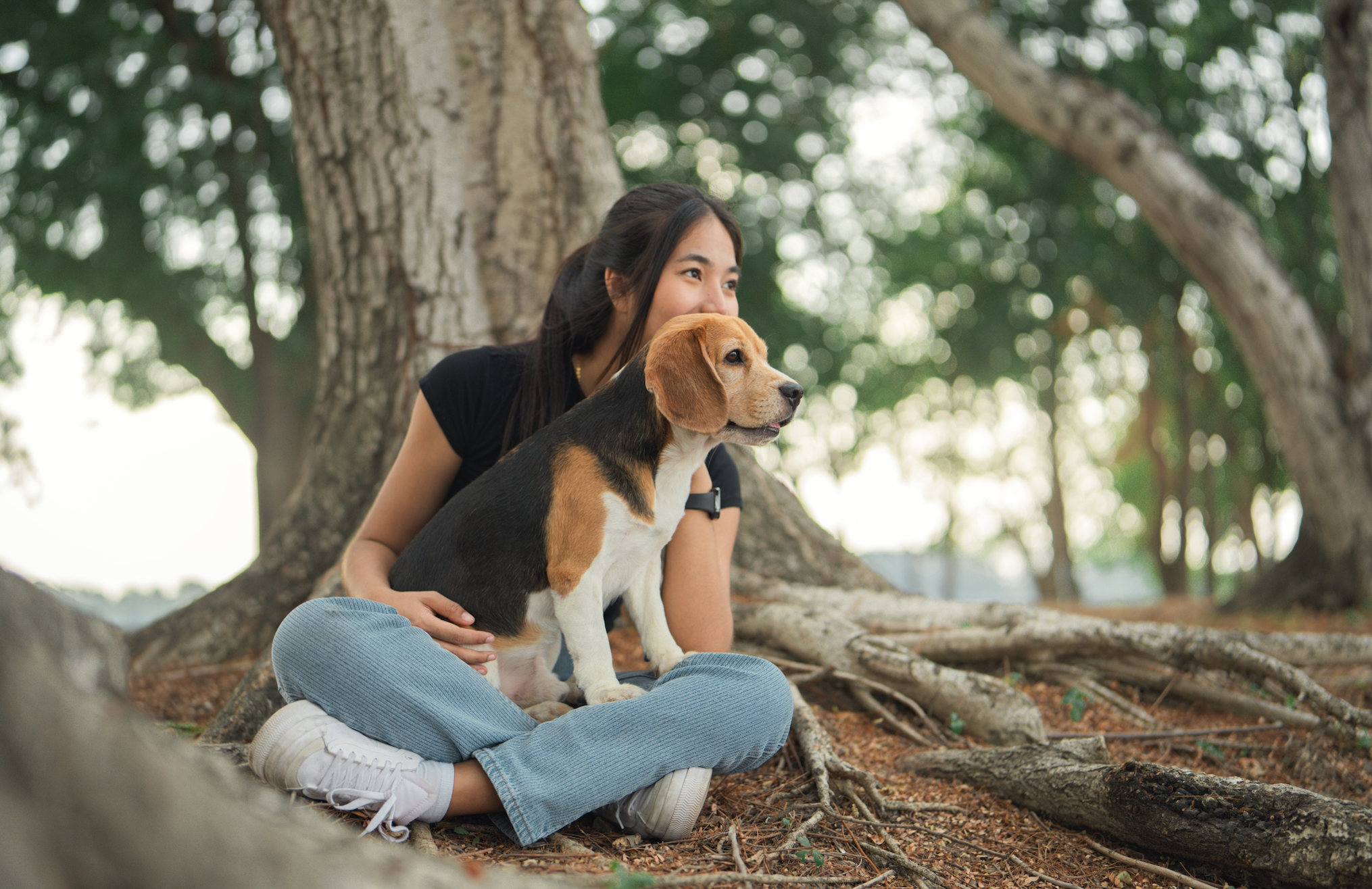 If We Love Our Pets, Why Not Their Wild Cousins?