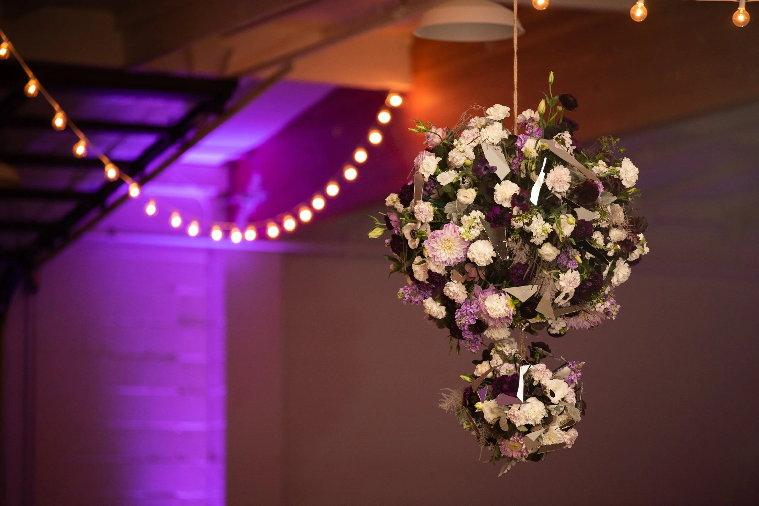 Tayler Jupiter Designs