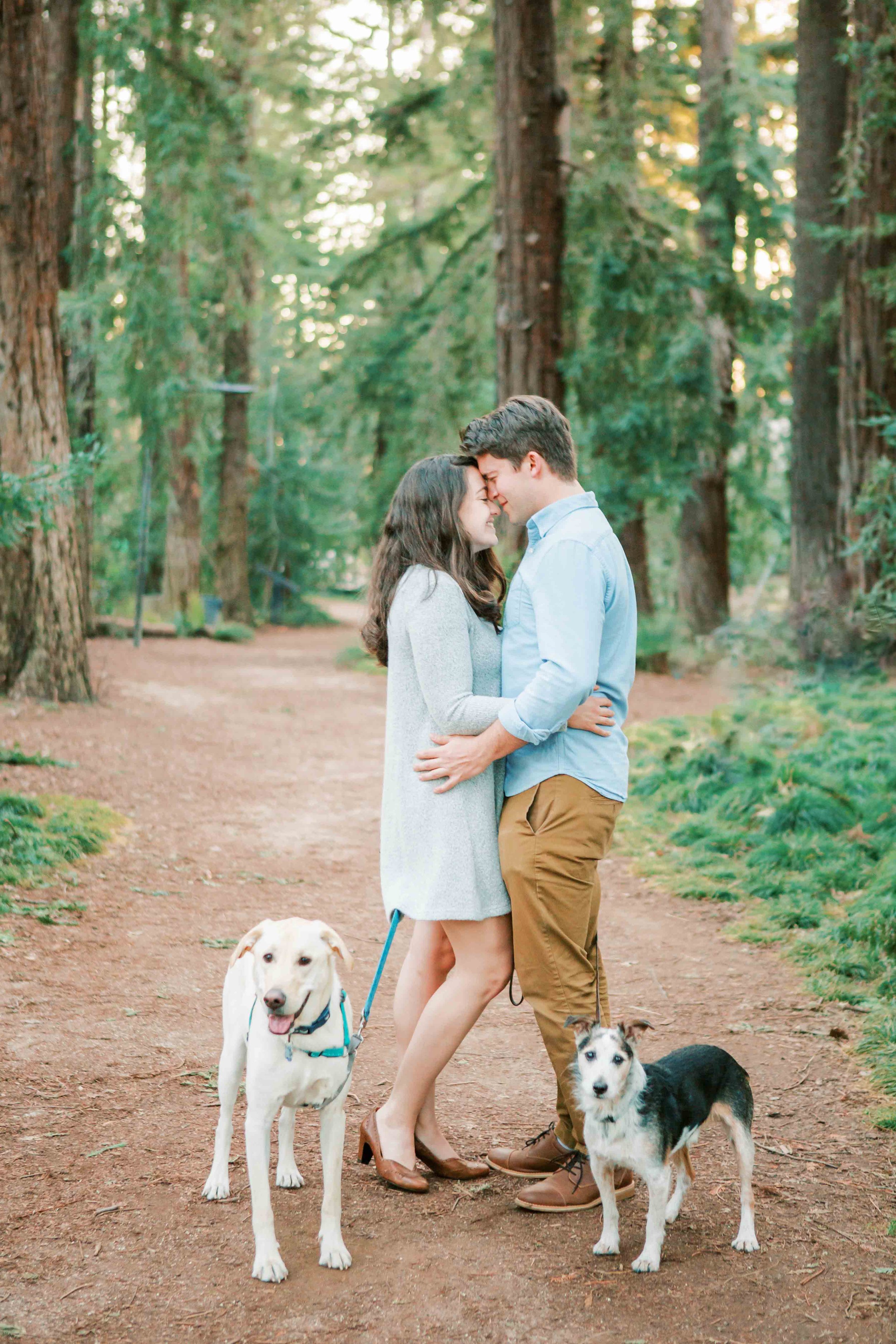 sacramento-engagement-photos-7.jpg