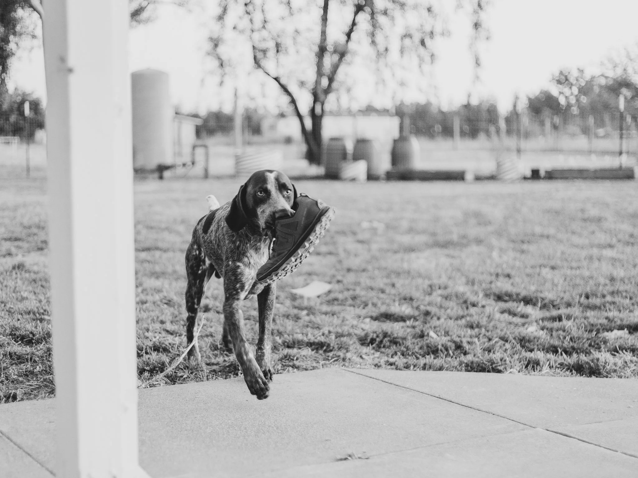 stuandhank-111 copy.jpg