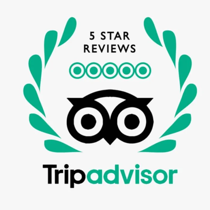 Tripadvisor logo with owl eyes, teal laurel branches, and five-star review indication.