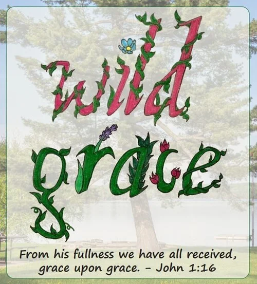 WILD GRACE: 2021 SUMMER CAMP PROGRAM THEME