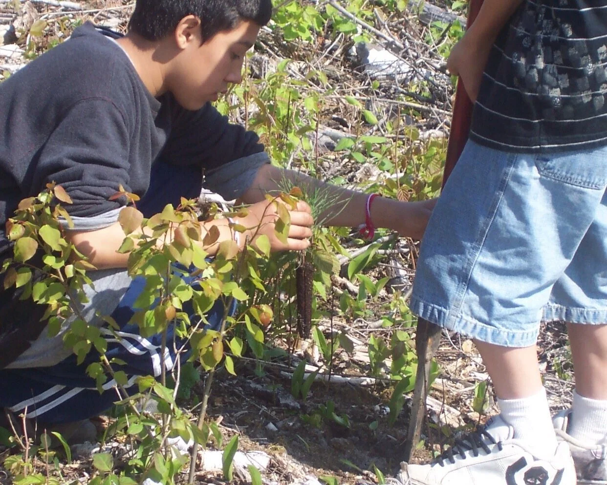 CAMP VERMILION FOREST MANAGEMENT