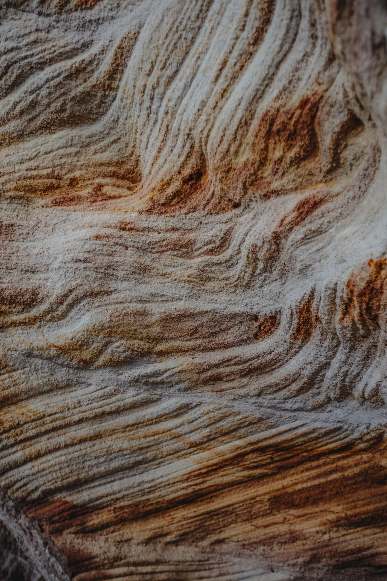 Carnarvon Range Sandstone - Wallaroo Station & Carnarvon Gorge Air Safari