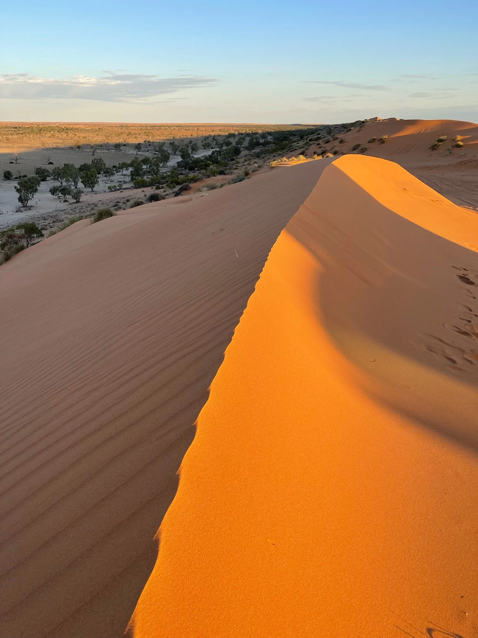 Big Red, Simpson Desert - Lake Eyre Air Tour | Air Safari