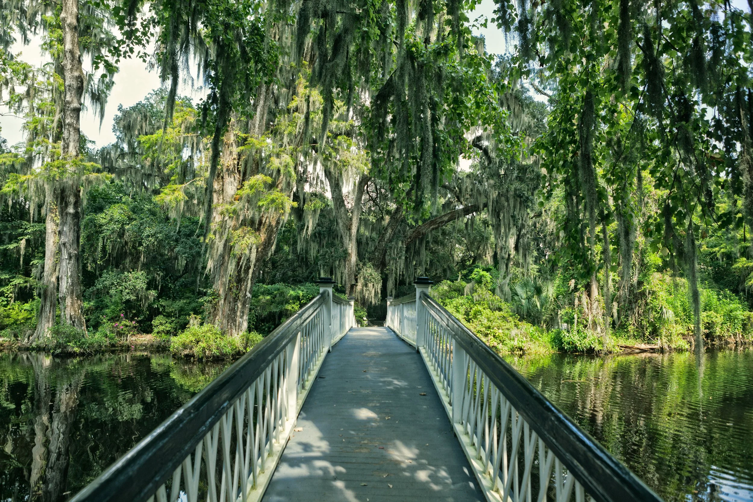 iStock-585803538.jpg