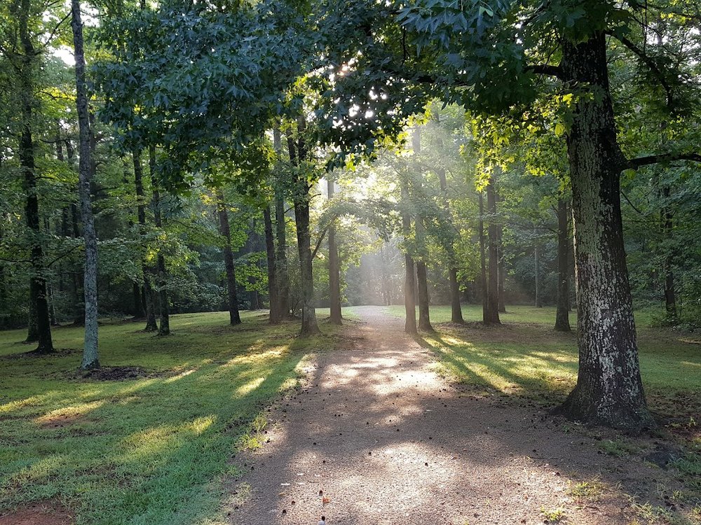 Archdale Park, Charlotte North Carolina