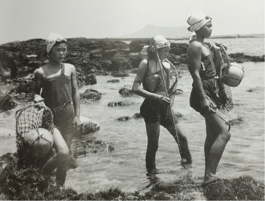 haenyeo divers women 1.png
