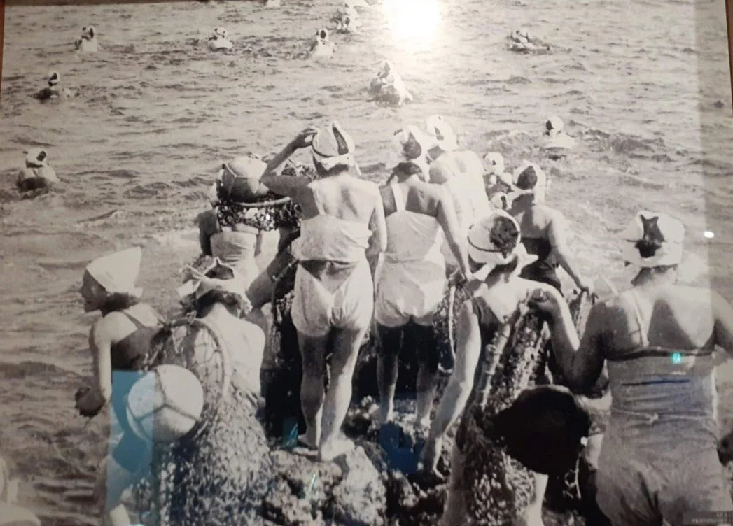 haenyeo divers women 3.png
