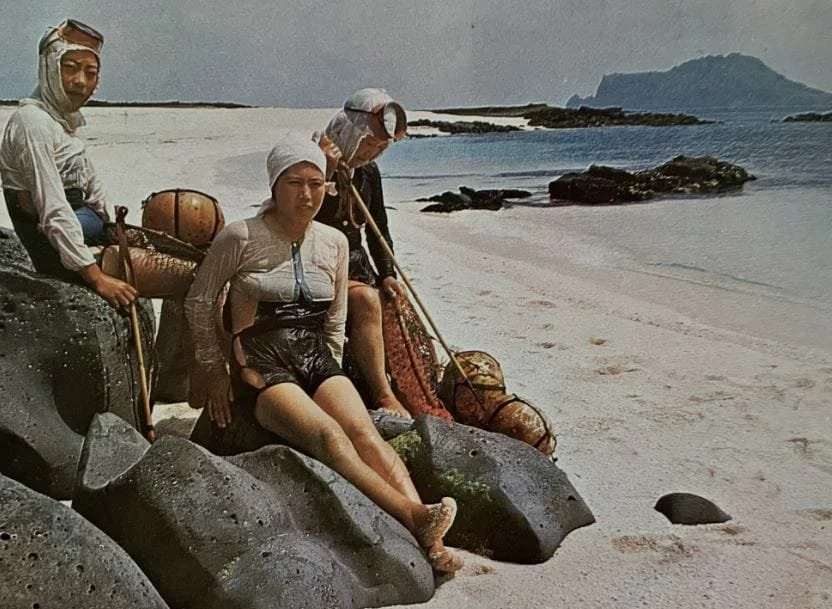 haenyeo divers women 4.png