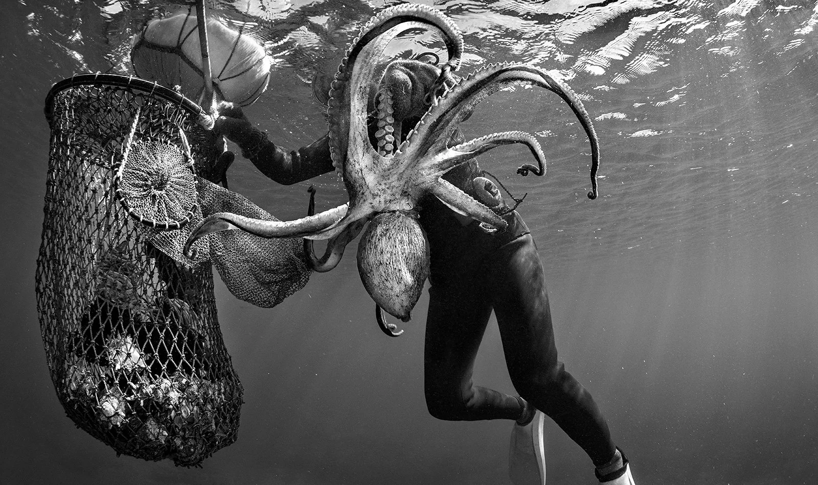 haenyeo divers women 5.png