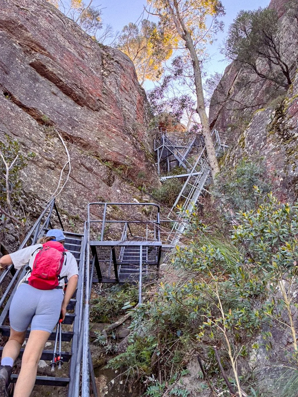 Hike guide pigeon house mountain brigid moloney-4.jpg