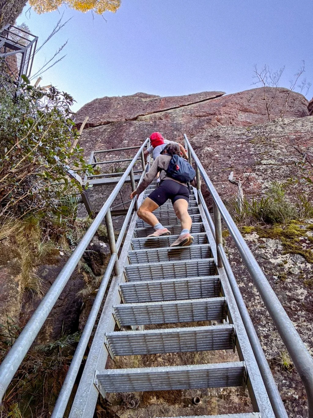 Hike guide pigeon house mountain brigid moloney-5.jpg
