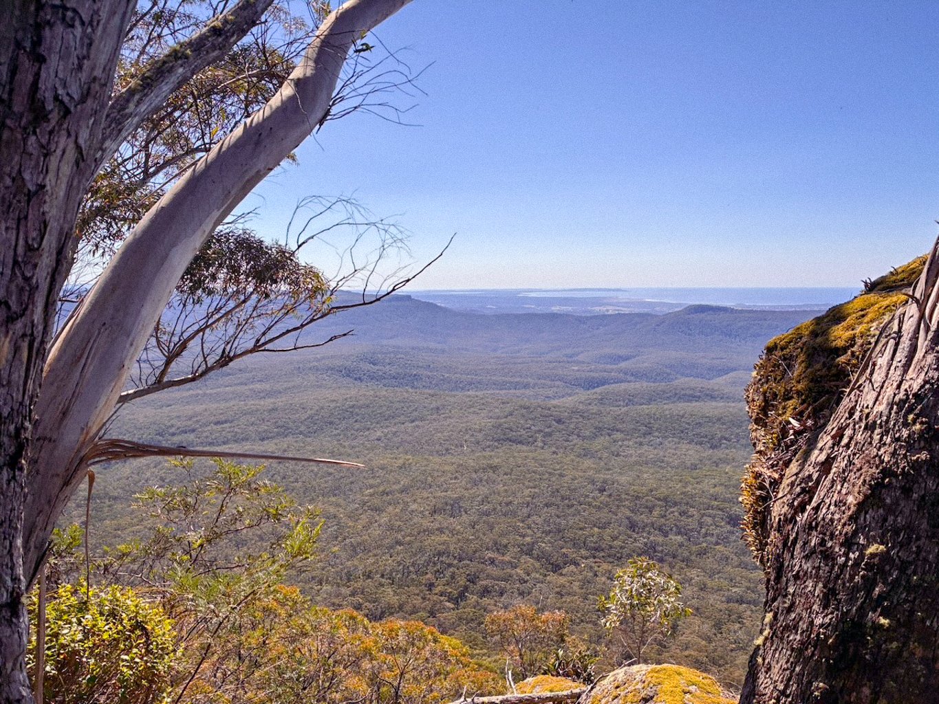 Hike guide pigeon house mountain brigid moloney-6.jpg