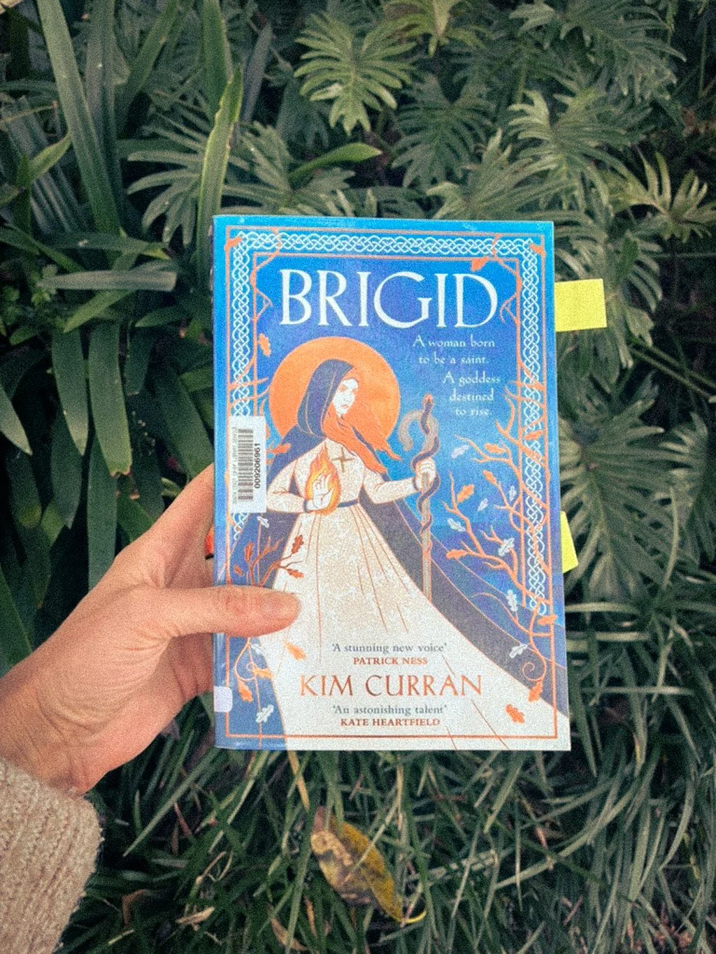Brigid, by Kim Curran