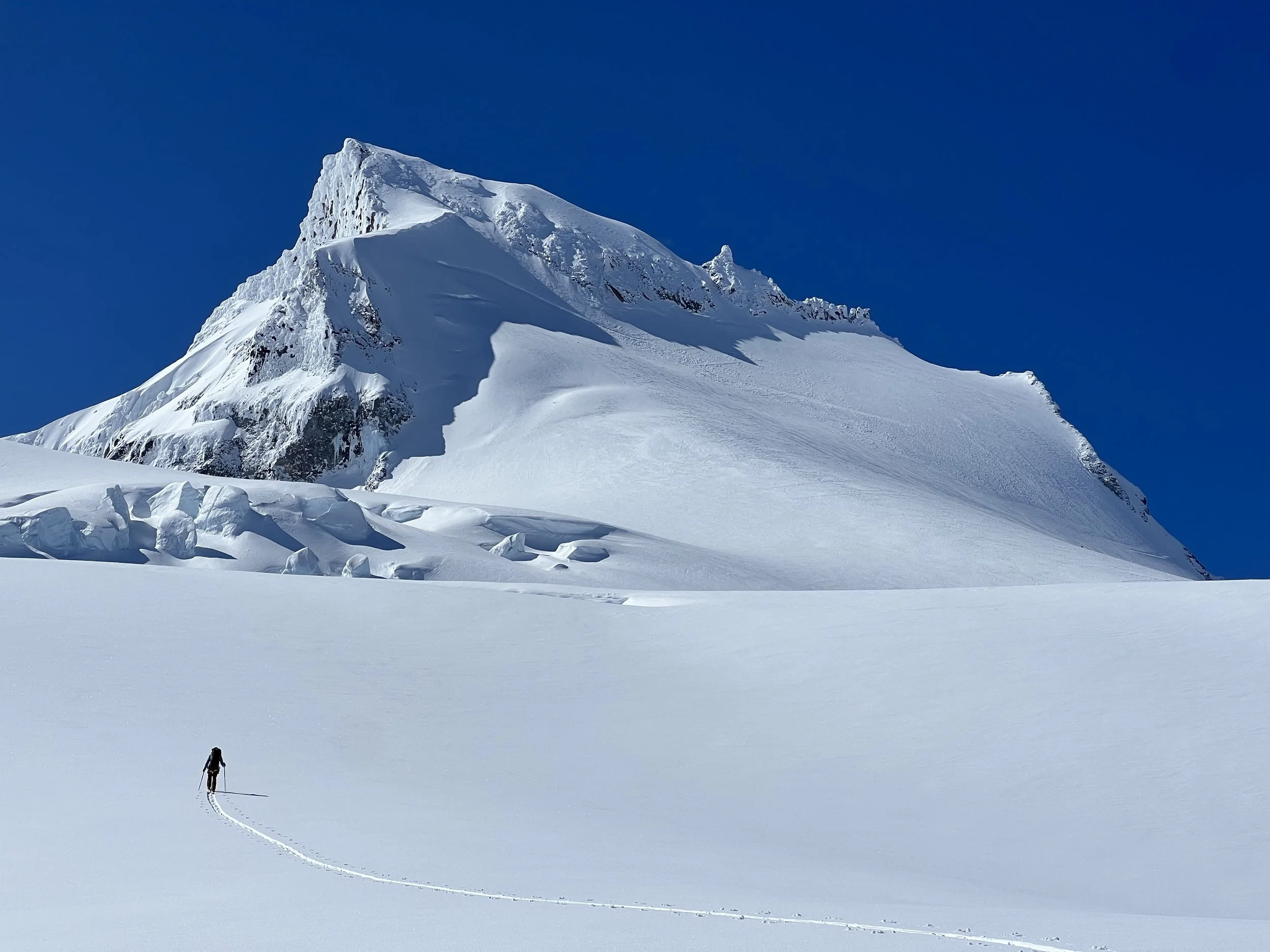 Ski touring towards Garibaldi peak, climbing the North glacier on Mt. Garibaldi with Splitter Guiding.