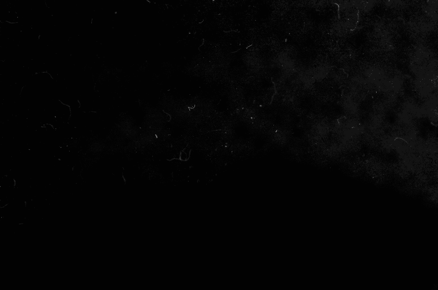 Projects — Zero Hour Interactive