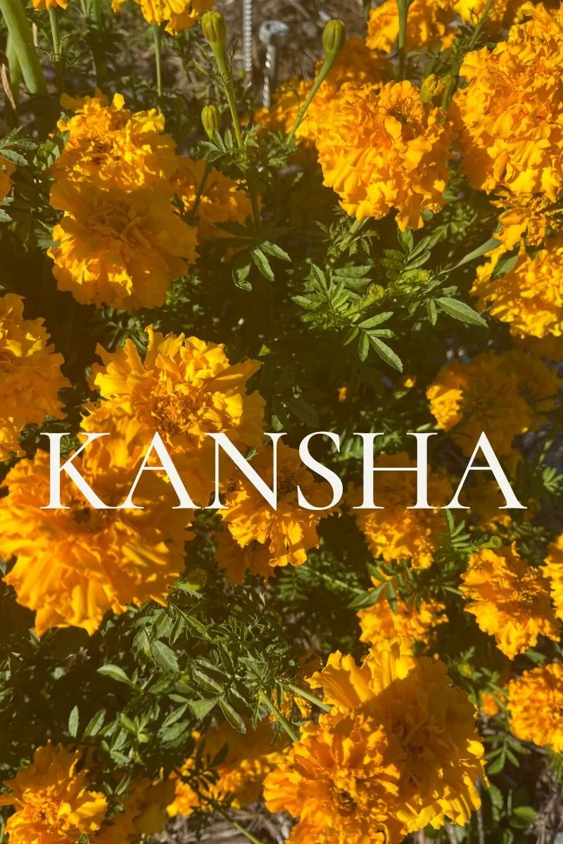 KANSHA - GRATITUDE (2024 NEWSLETTER)