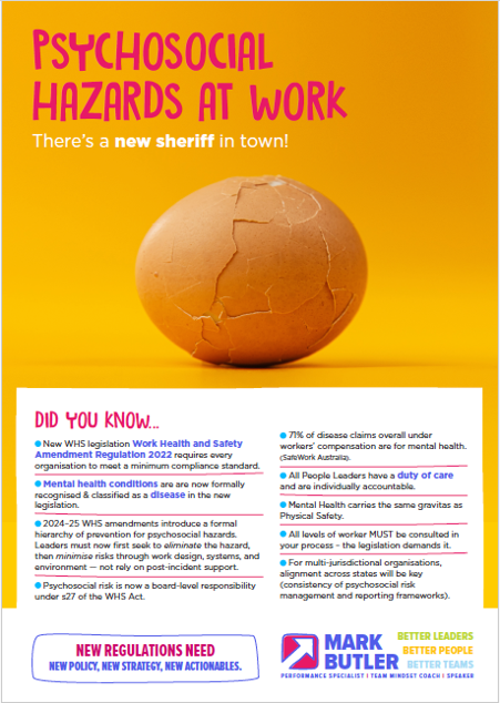Flyer titled 'Psychosocial Hazards at Work' with an eggshell image. Text about new sheriff, OSHA legislation, responsibilities, and regulations for workplace health and safety.