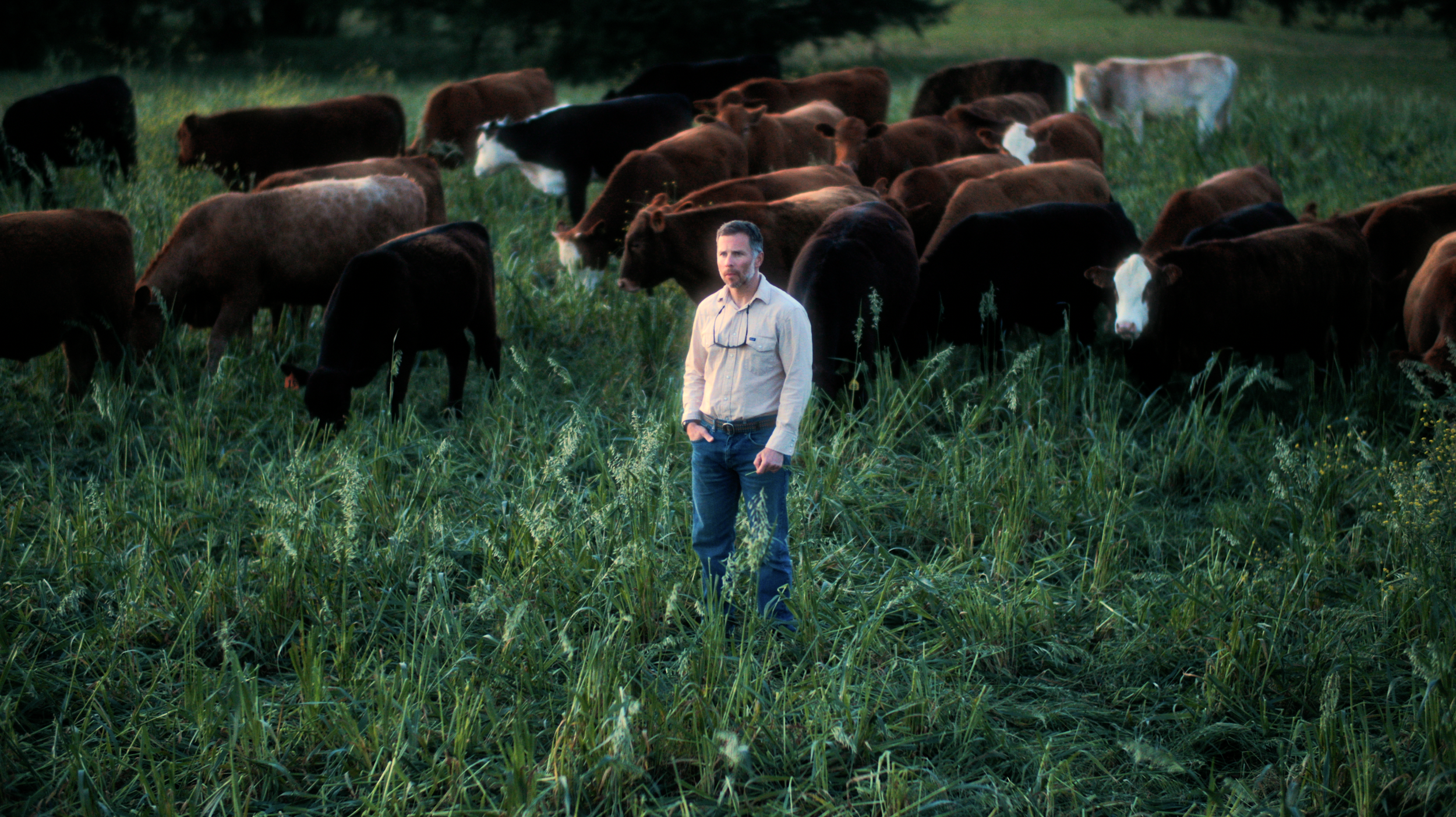 SHIRTTAIL CREEK FARM