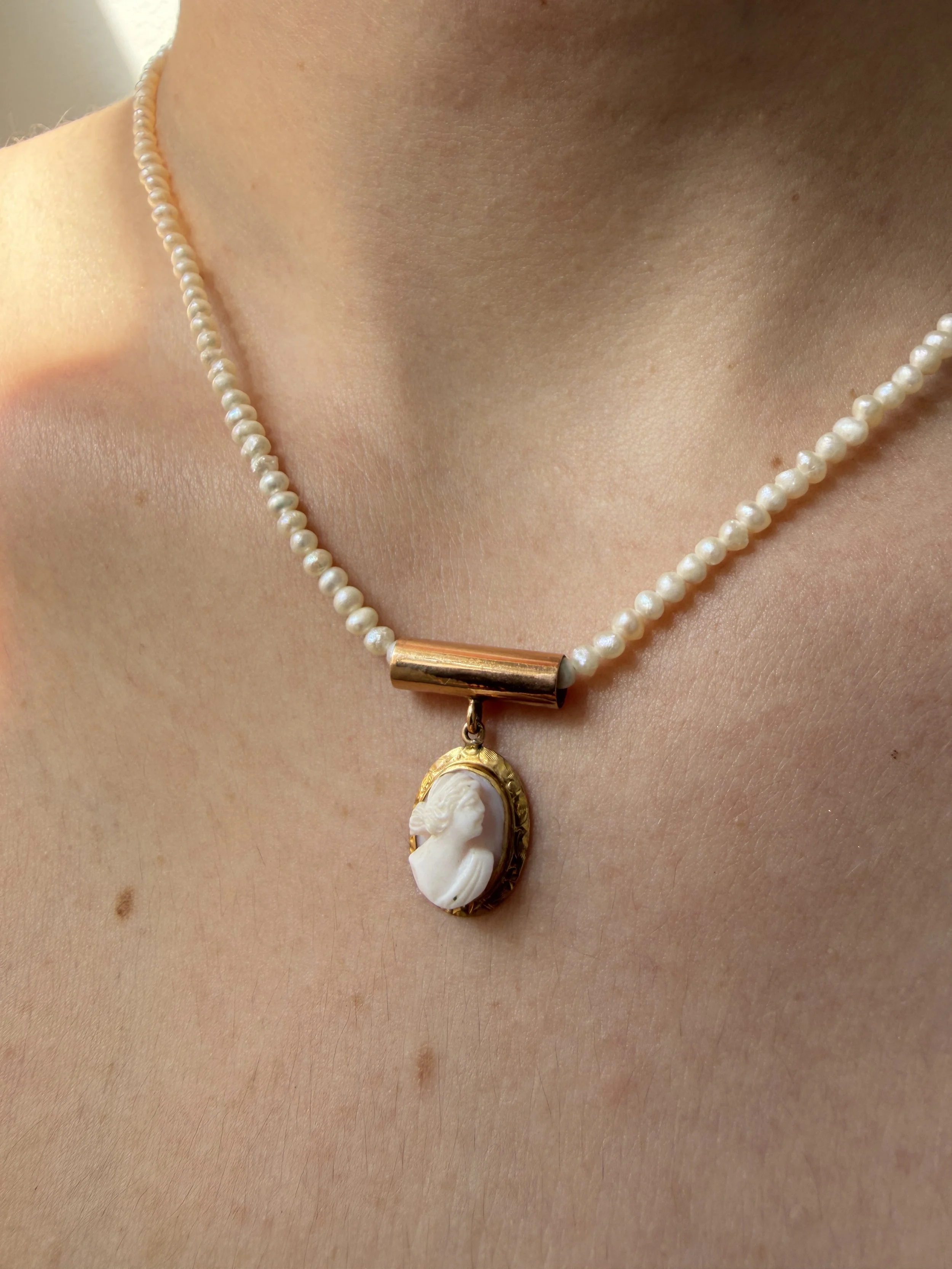 IMG_5537.JPG