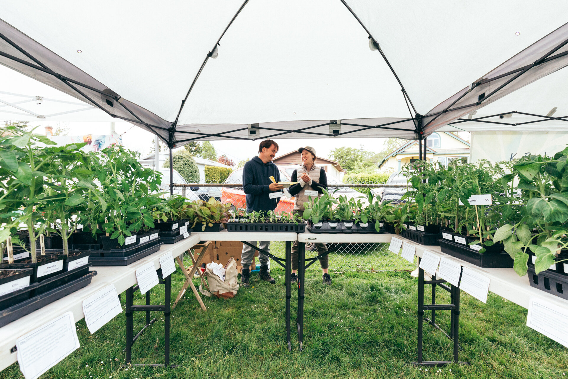 Going to garden? Get connected with our local growers and gardening community! Here are some hot tips: 

🌱By purchasing locally grown seeds and transplants you are directly supporting local farmers and growers. Winters are typically quiet and don't 