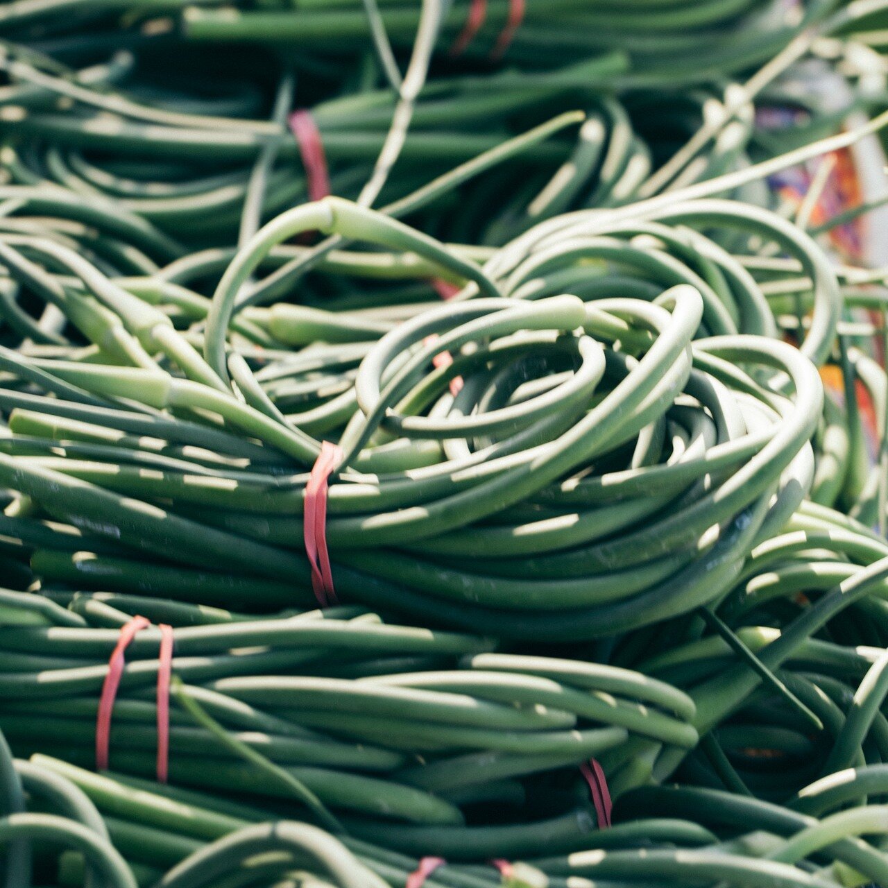 Spring always brings a feeling of excitement about the return of green growing things and good eats. 🥬🥦🥒

Trying something new is always a highlight of heading to the market. What&rsquo;s that weird spiky vegetable or unusual mushrrom you&rsquo;ve