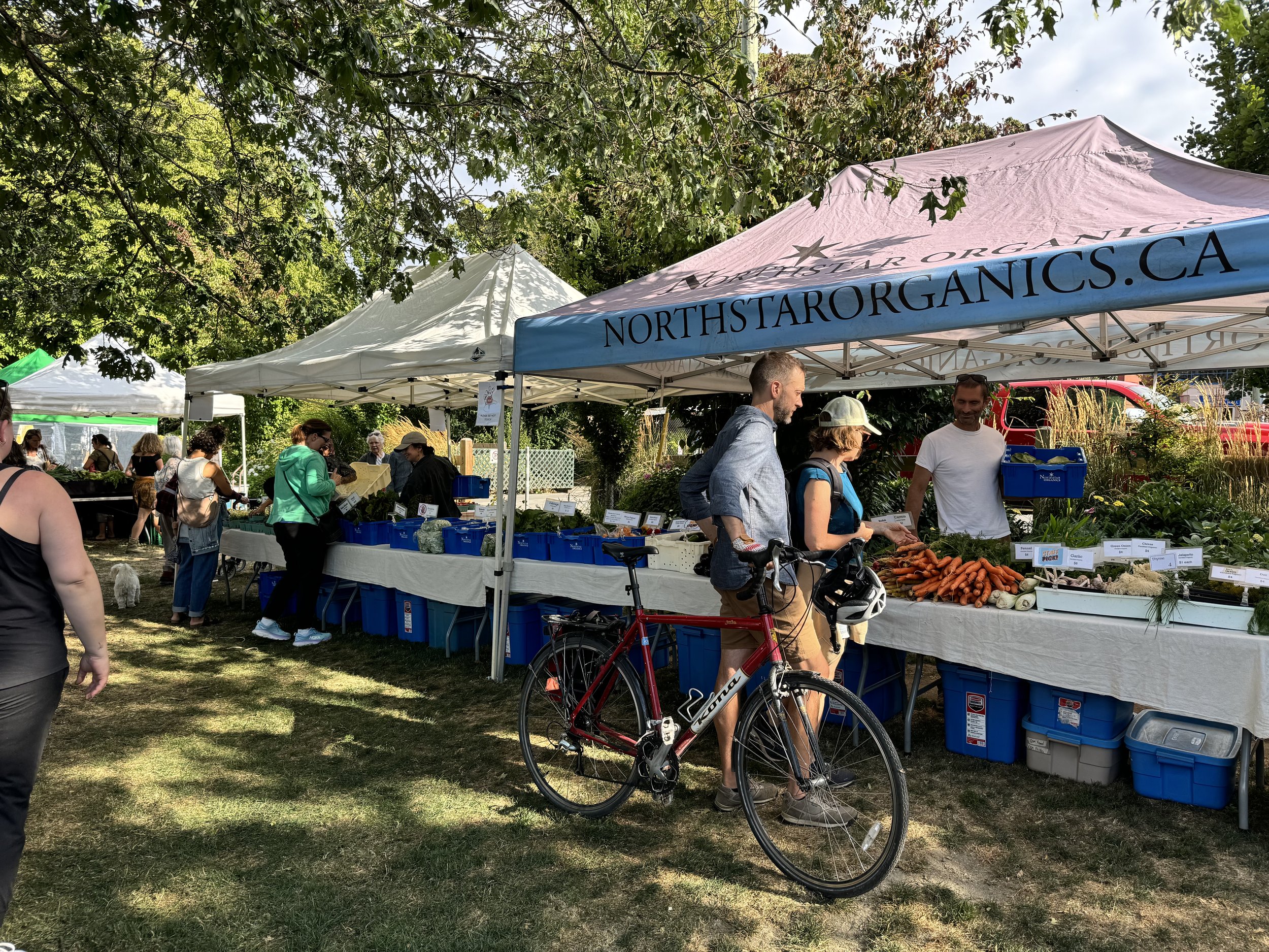 The outdoor Esquimalt Farmers Market featuring tents, people browsing and selling fresh vegetables, a woman on a bicycle, and trees overhead.