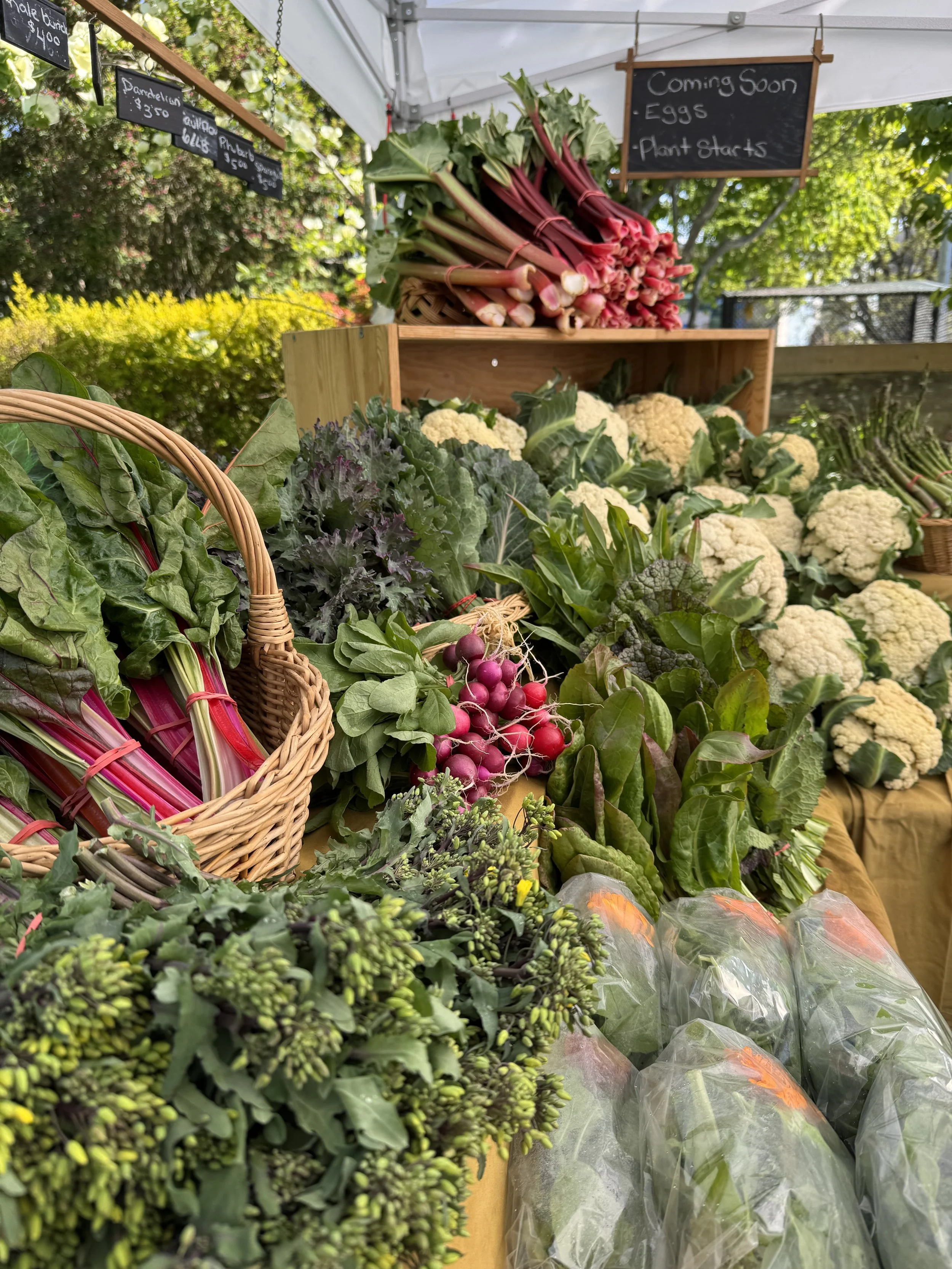 Fresh vegetables including rhubarb bunches, cauliflowers, radishes, and leafy greens displayed at a farm market stand. A black chalkboard sign reads 'Coming Soon - Eggs, Plant starts'.