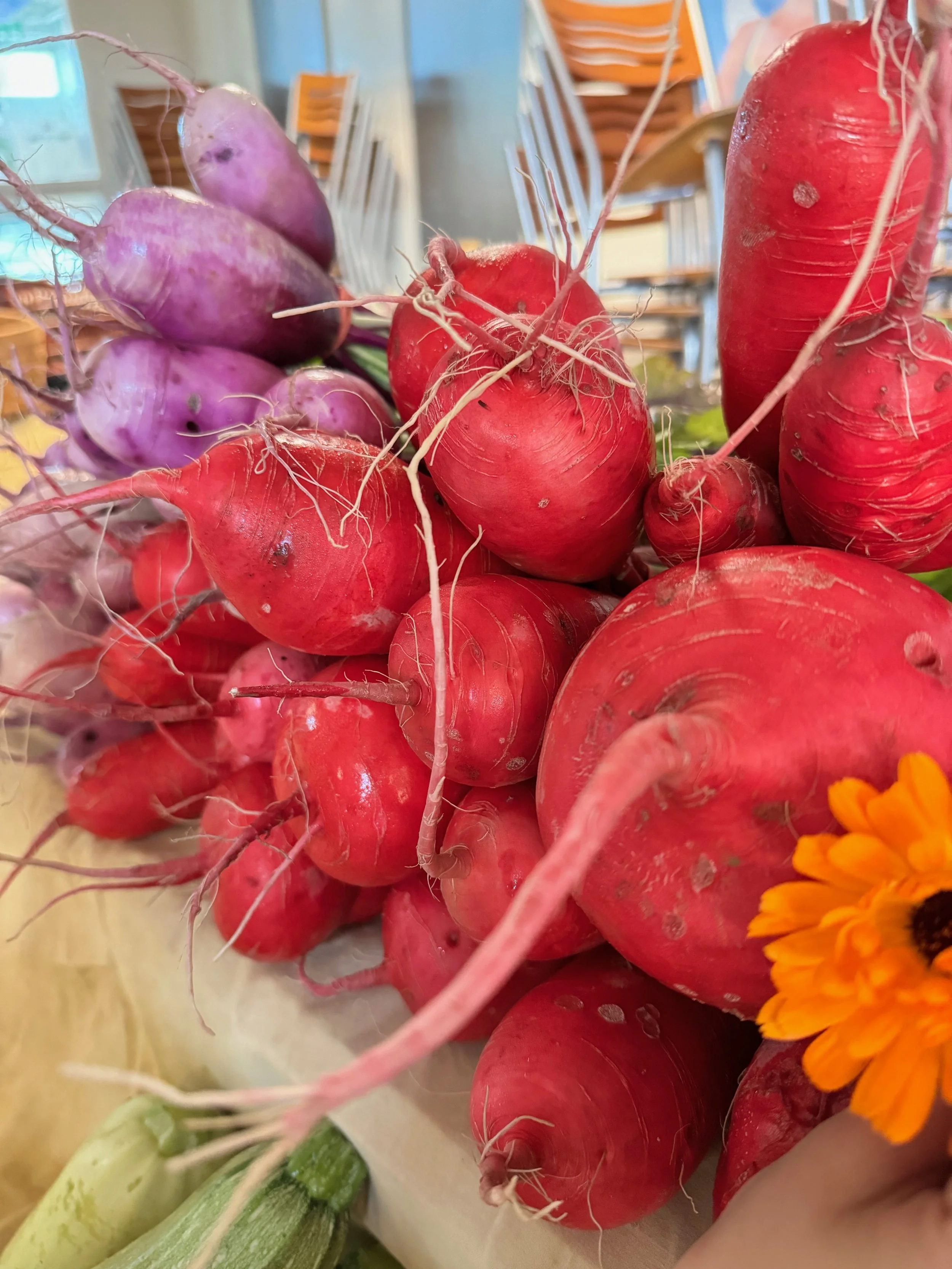 A close-up of fresh radishes, both red and purple varieties, displayed on a surface with some orange flowers on the side.