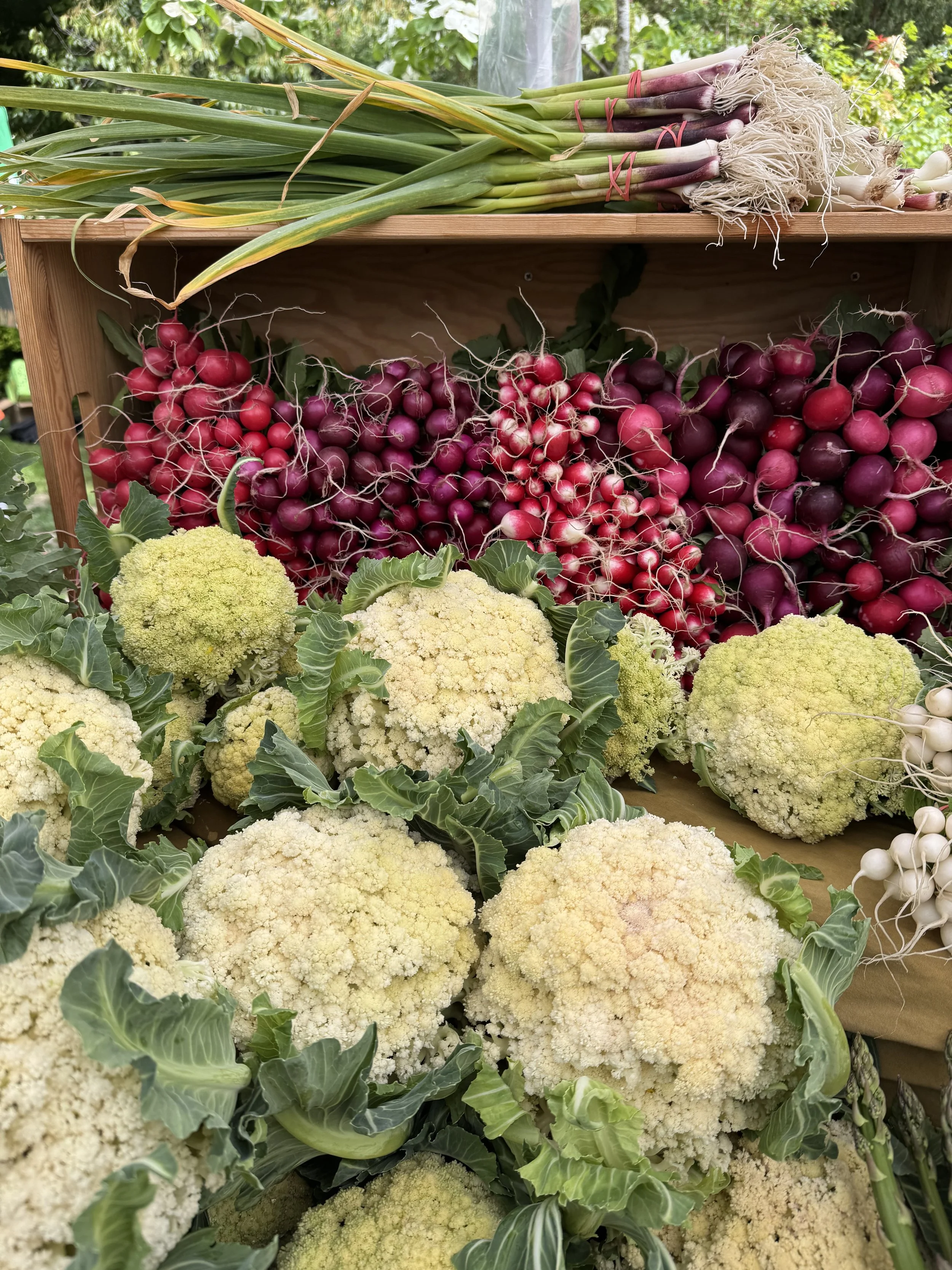 Market display with fresh vegetables including leafy greens, cauliflower, radishes, green onions, and garlic.
