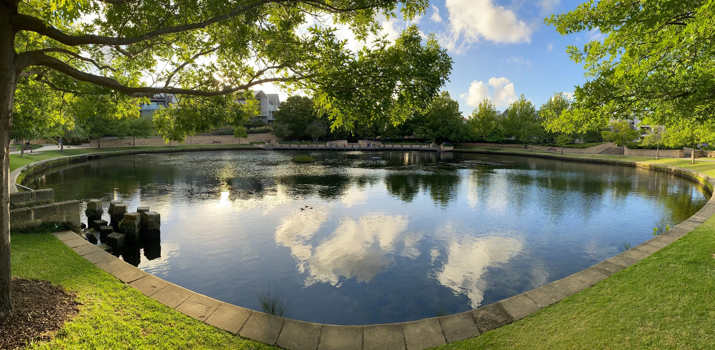 Ponds.jpg