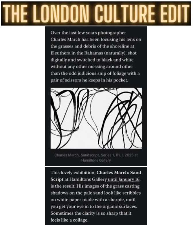 The London Culture Edit • November 2025
